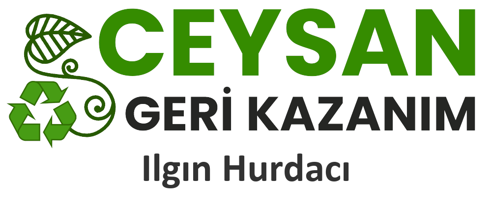 Ilgın Hurdacı